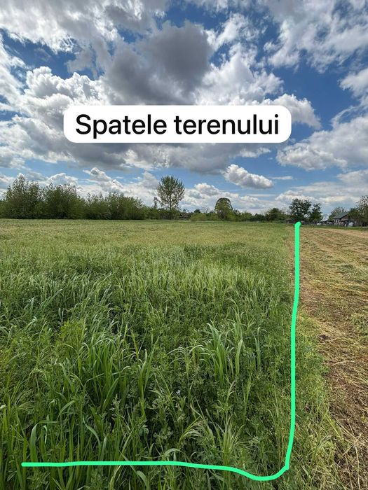 Teren intravilan 3743 mp Frunzaru – asfalt, apă și curent la poartă