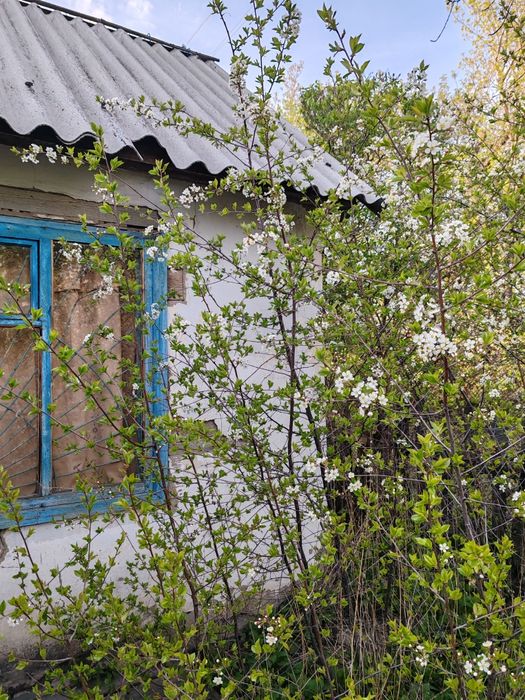 Продаю дачу р-он ЦОФ Сабурханская