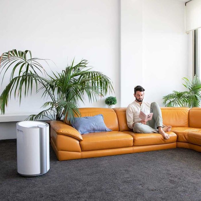 Професионален влагоабсорбатор Cecotec Big Dry 9000 капацитет 20 л/ден