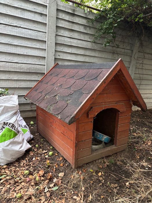 casă de câine, Bragadiru, gratuit