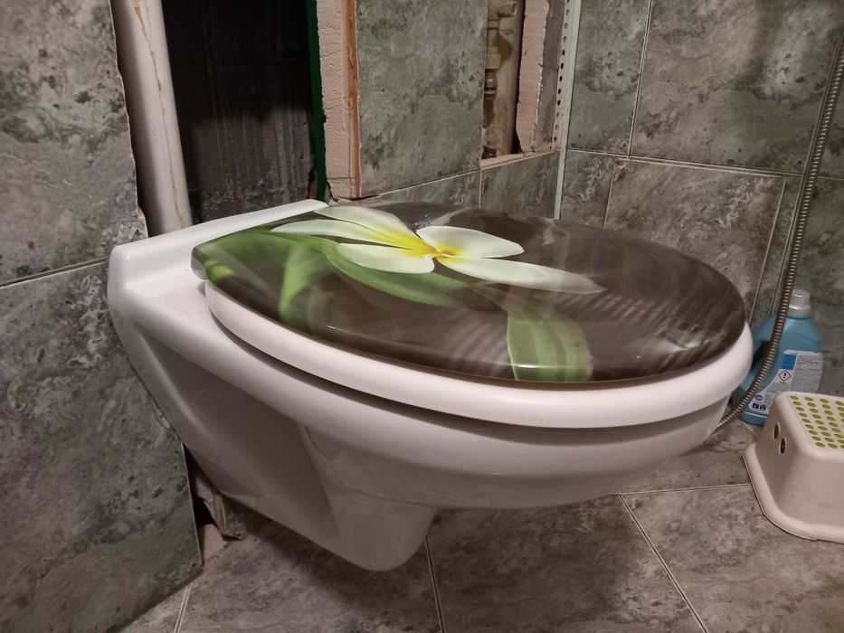 Тоалетна чиния с капак