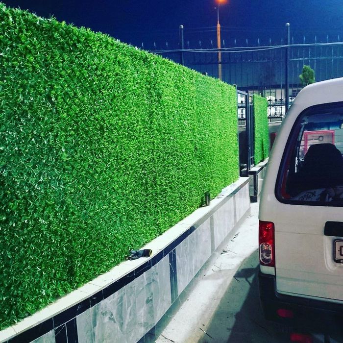 "Ҳовлингизни Безанг, Қўшниларингизни Ҳайратда Қолдиринг!"