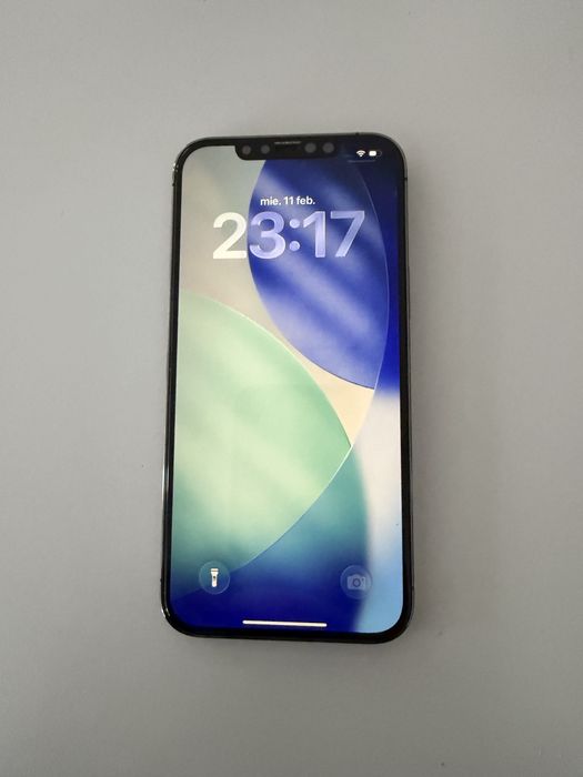 Iphone 12 Pro Max 256Gb