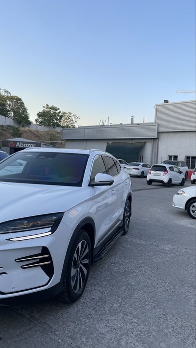 Byd chempion