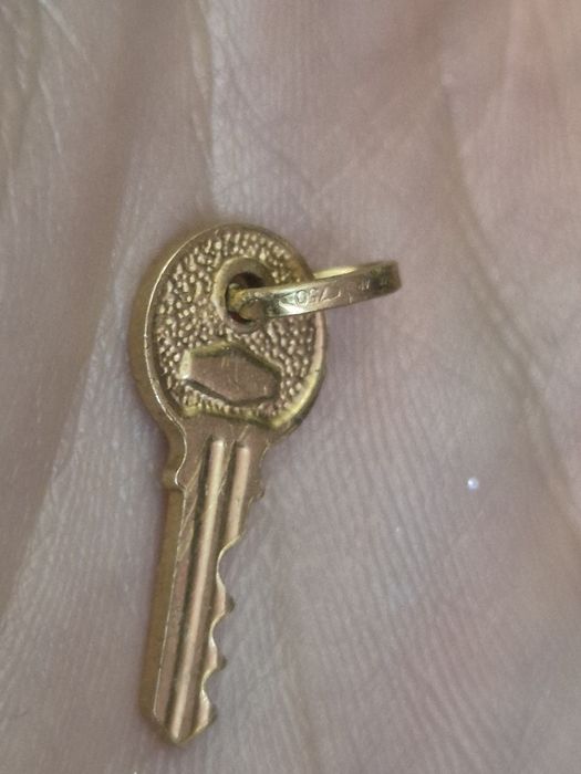 Pandantiv cheita din aur 18 k