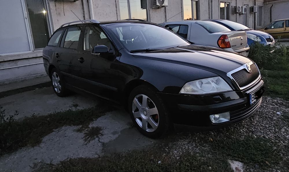 Skoda Octavia 2 Combi, 2008, 1.9 TDI BLS,  DSG, Xenon, Navigație,  DPF