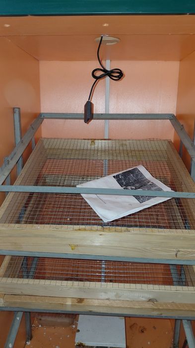 Инкубатор 530та товук тухуми, холати яхши.Нархини келиштирамиз