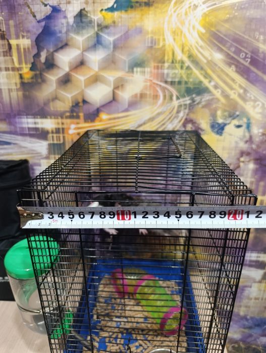 Продам клетку и крыс, можно отдельно.