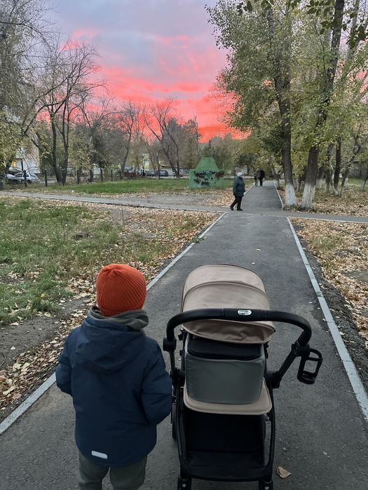 Сумка переноска