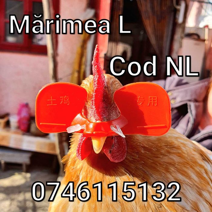 Fazani Gaini Pauni Cocosi Pasari-OCHELARI Mari Impotriva Luptelor - NL