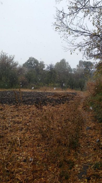 Продам дом в с. Коныр