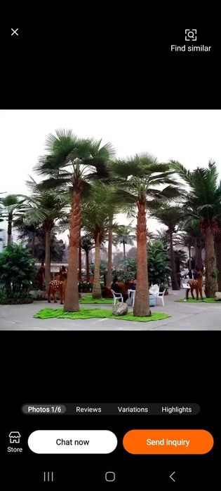 Искусственный палма дарахти