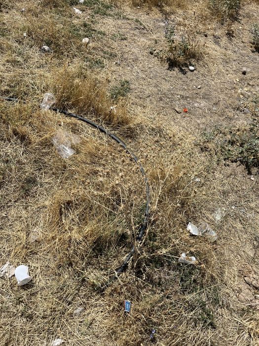 Шұбарсу, Арман 2