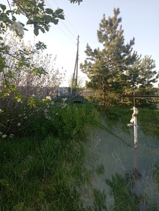 Продам дом село Озен