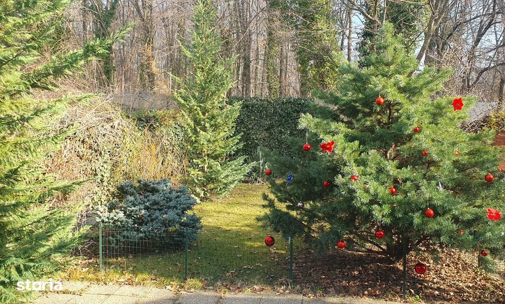 Casa in Baneasa Sector 1, Zona Liceul Francez, Bucuresti