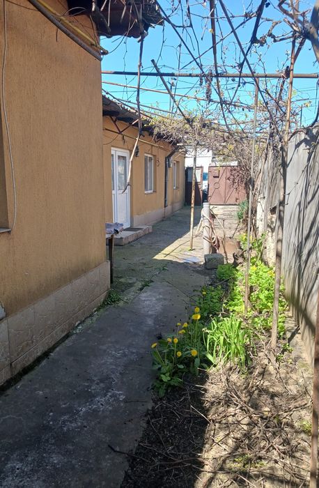 Casă Coiciu - de vânzare
