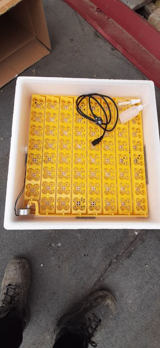 Incubator automat ms 63