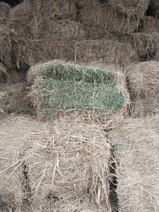 Сено люцерновое.