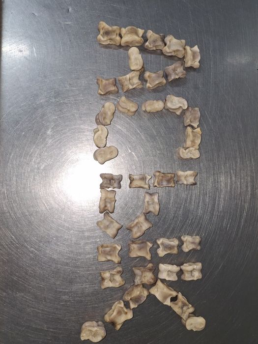 Асык бар 350 тенгеден ASTANA