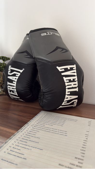 Sac Box Gironetics si manusi Everlast 8Oz !!