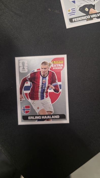 Extra Sticker Panini