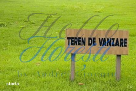 Teren extravilan 4258mp, oportunitate investitie, zona Vivo!