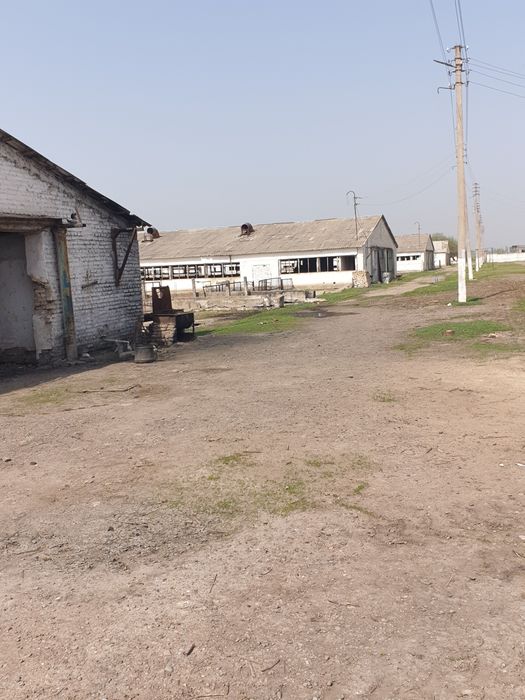 Продаётся ферма для скота 6 гектаров кадастр имеется Ташкент область у