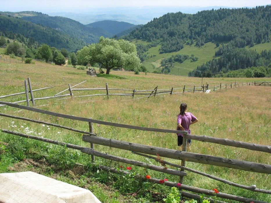 Vand teren in Muntele Bocului