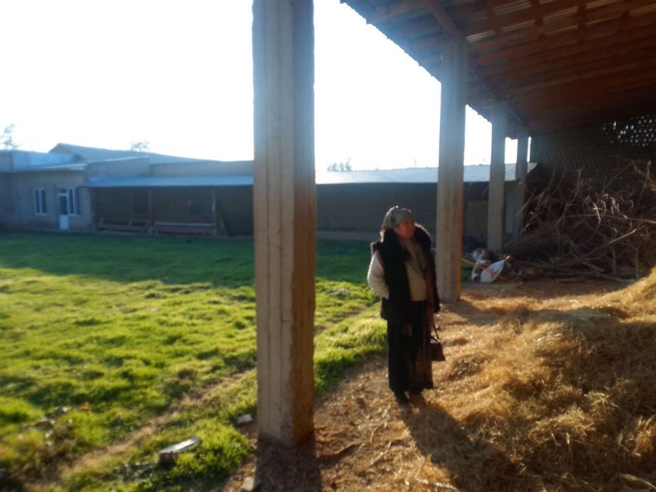 Xovli yer srochna sotiladi!!!