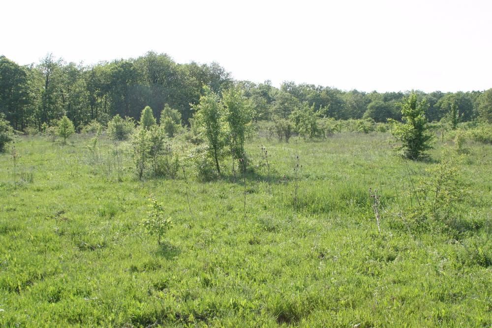 Продава се Парцел в Бяла - 1294 кв.м за 26 €/кв.м - Снимка #4