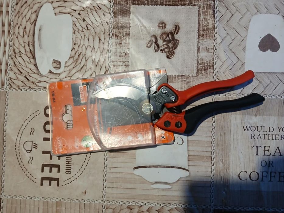 Vand foarfeci de taiat pomi,gard viu si vita de vie