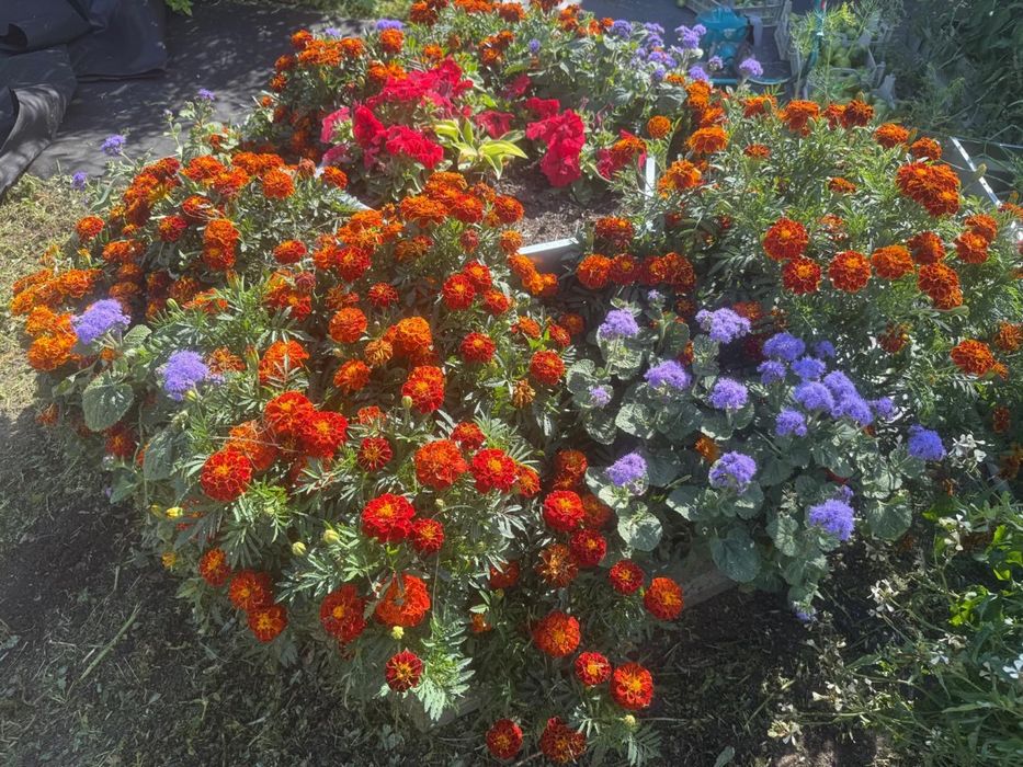 СРОЧНО Дача Легенда озеро Пестрое