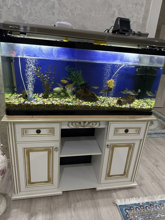 Продам аквариум