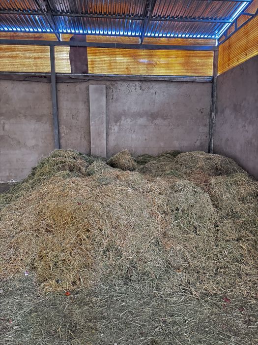 Шоп. сатылады.  2-3 газел. шыгады