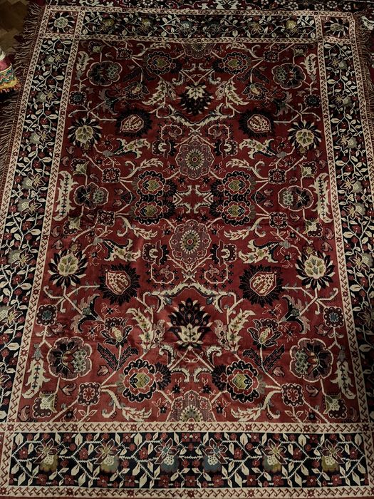 Gaina bhbnnnbbhhjhhhhhhh