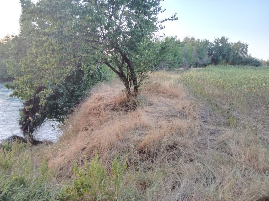 Dacha uchun er uchaska sotiladi