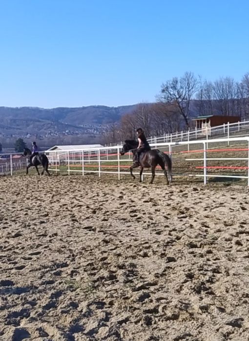 lecții de echitație