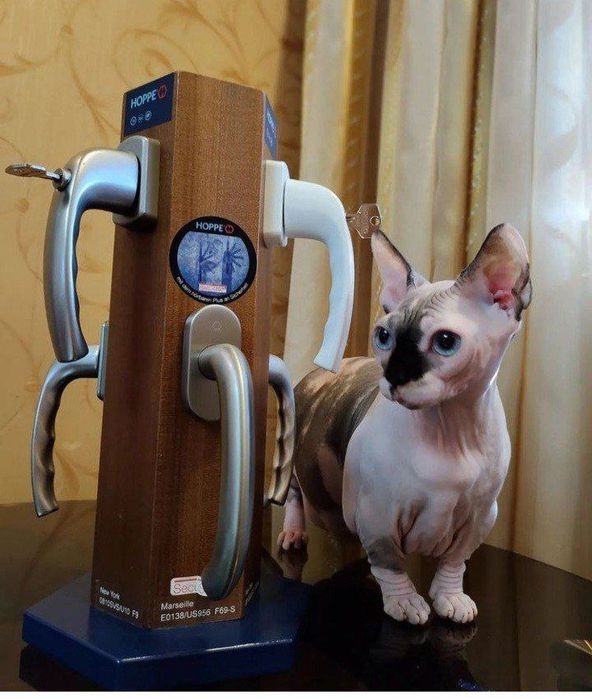 Пластиковые и алюмииневые окна и двери