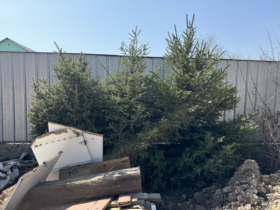 Елка 3 шт в наличий