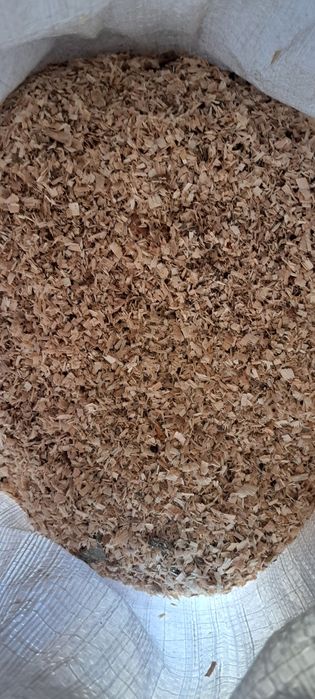 Rumeguș de fag si carpen