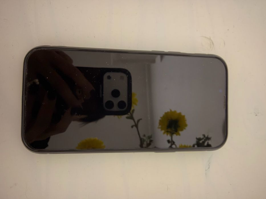 Iphone 13 pro max 512GB