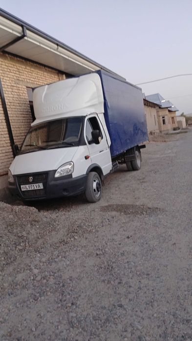 Gazel yili 2014 kuzuv 5 m