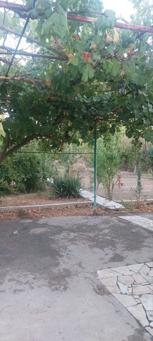 Дала ховли сотилади