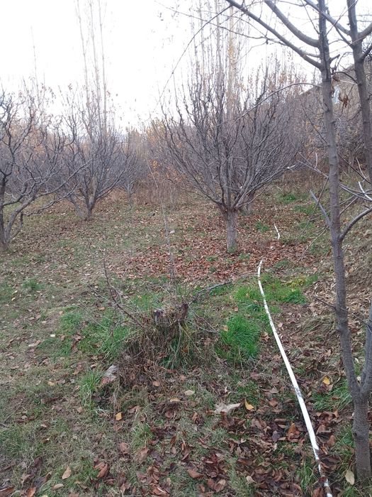 Yer sotiladi yaxshi narxda