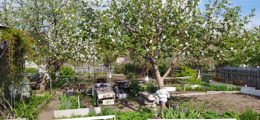 Продам дачу СО"Железобетонщик"