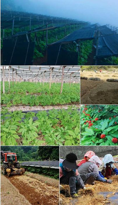 Siz uchun maxsus! Tabiiy mahsulotlar!