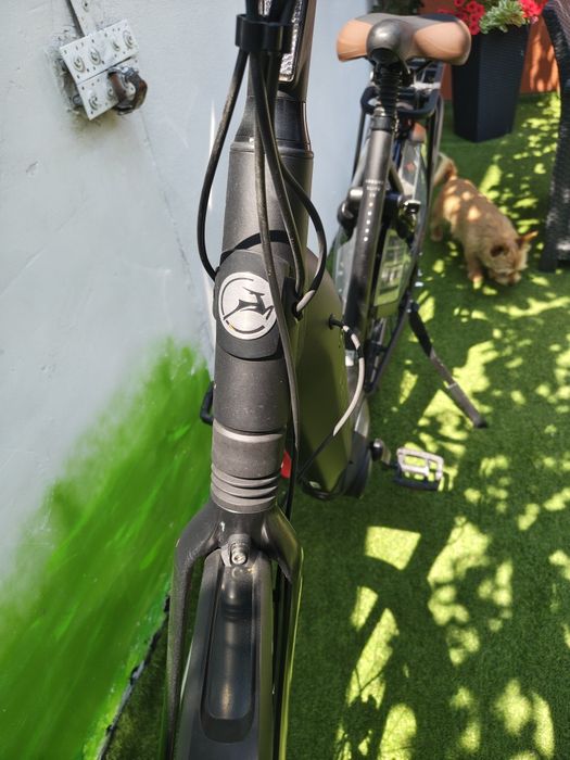 Bicicletă Gazelle Arroyo C8 HMB Elite E-Bike