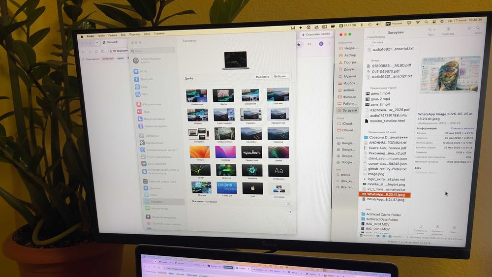 Монитор LG 24D300G