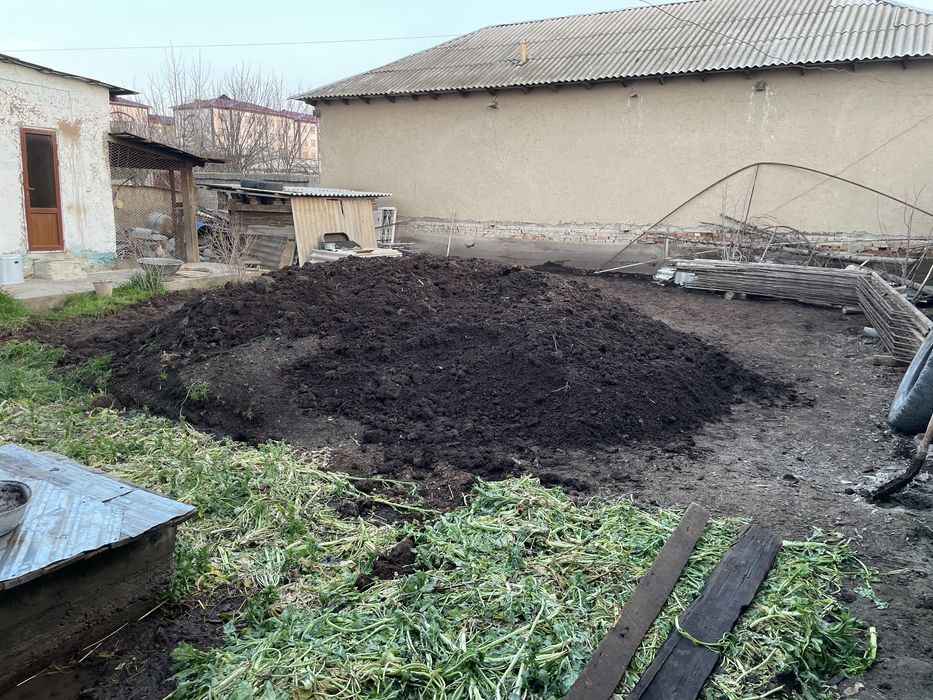 Bio gumis 1000 sum kilishiladi