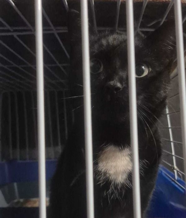 По дороге к счастью - девочка Юша